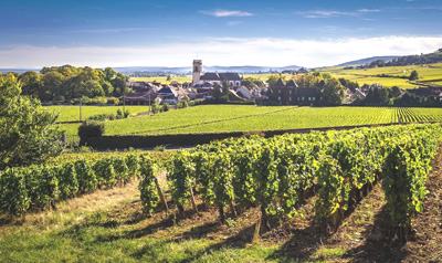 vignobles-des-cotes-de-Beaune-bourgogne